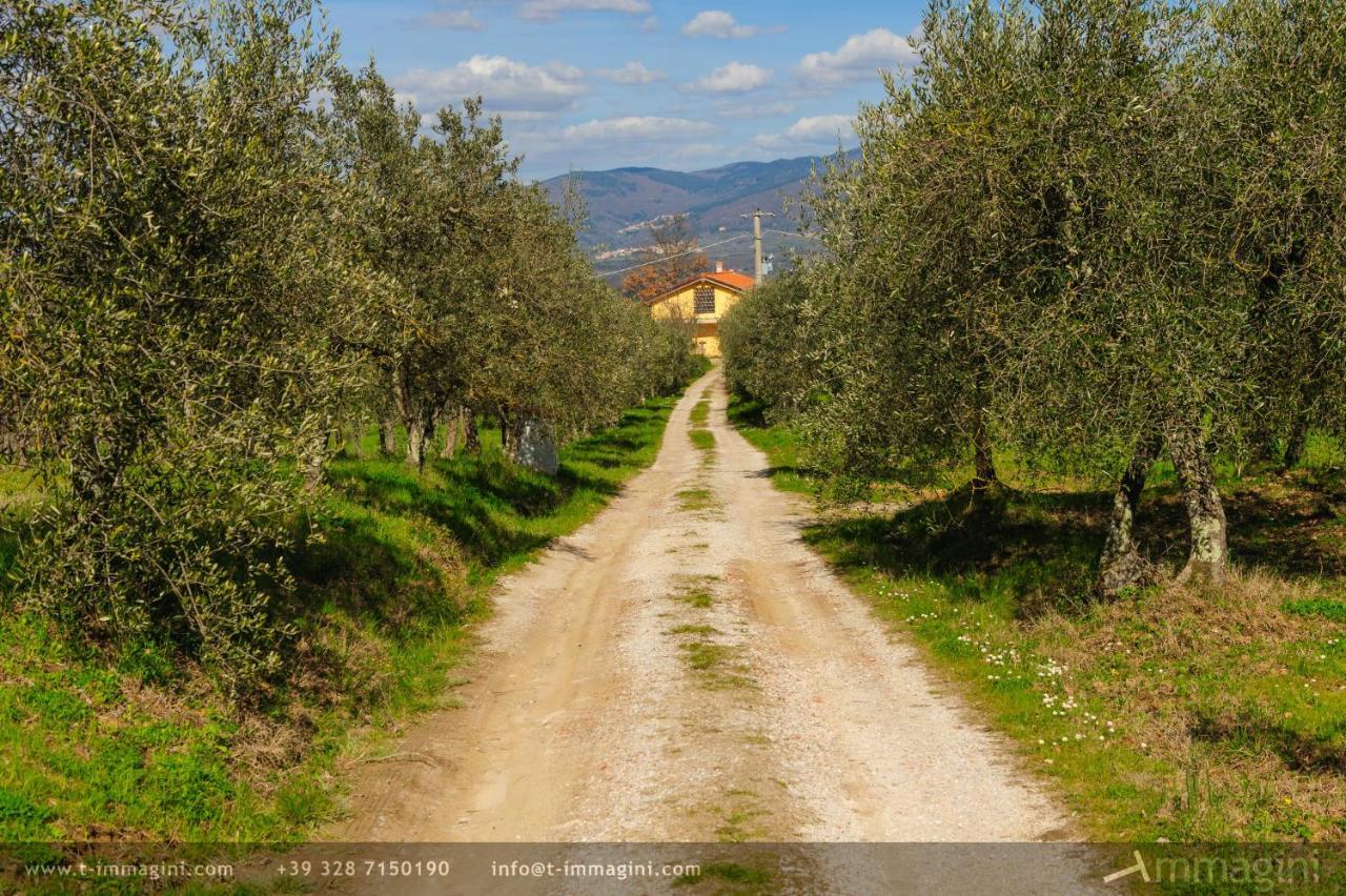 Bioagriturismo Poderaccio Incisa in Val d'Arno Εξωτερικό φωτογραφία