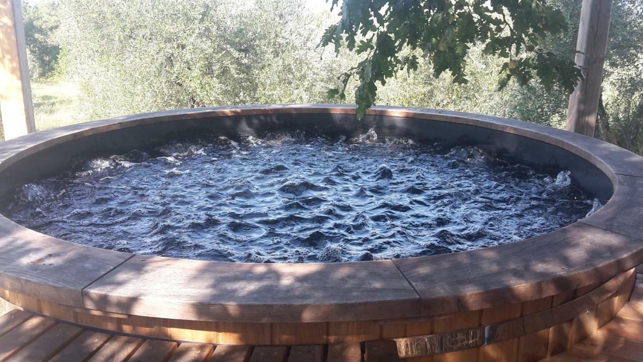 Bioagriturismo Poderaccio Incisa in Val d'Arno Εξωτερικό φωτογραφία