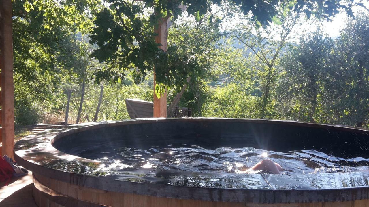 Bioagriturismo Poderaccio Incisa in Val d'Arno Εξωτερικό φωτογραφία
