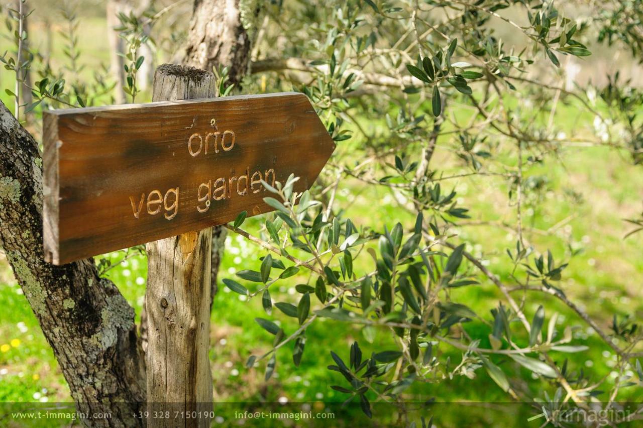 Bioagriturismo Poderaccio Incisa in Val d'Arno Εξωτερικό φωτογραφία